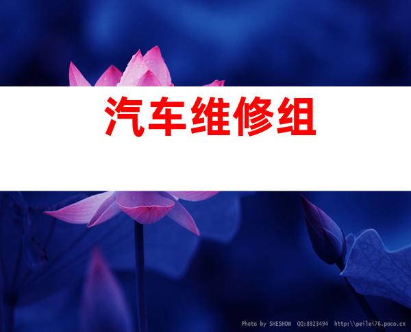汽车维修组